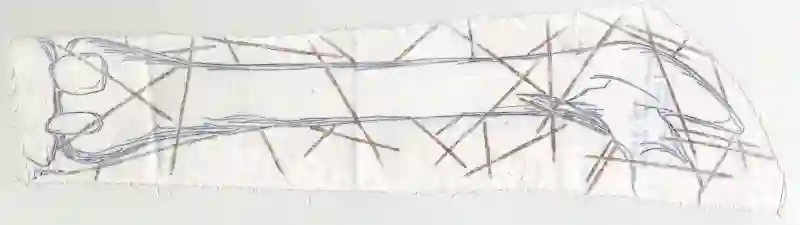 Берцовая кость