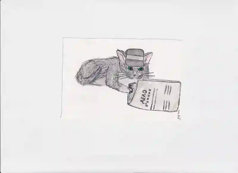 Кот и дело