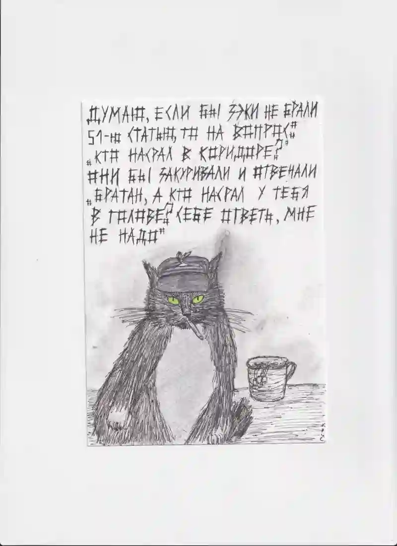 МК135 Думаю, если бы зэки не брали 51 статью