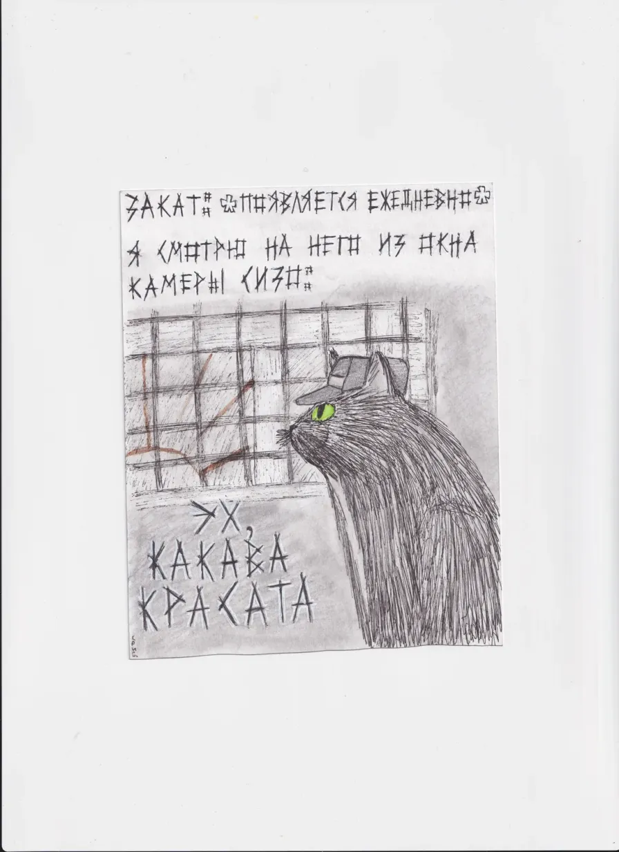 МК204 Какава красата