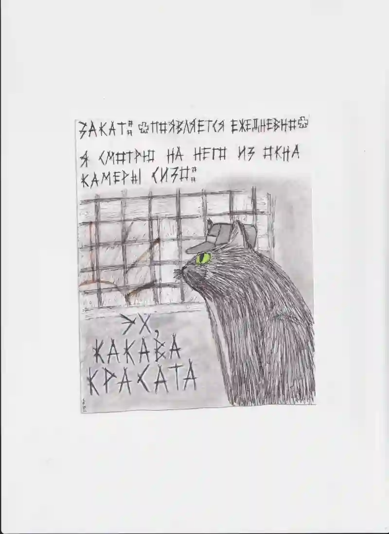МК204 Какава красата