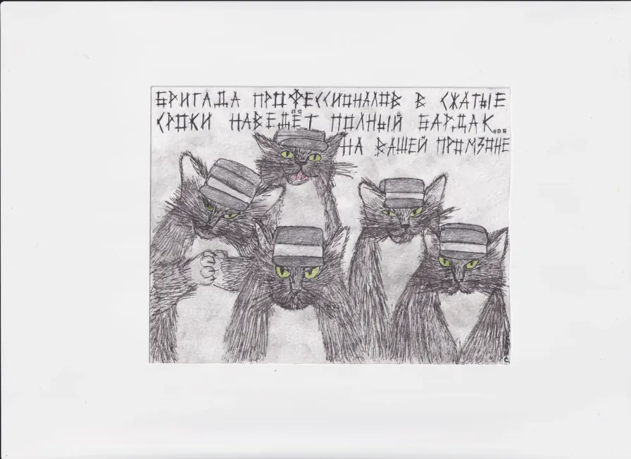 МК208 Бригада профессионалов