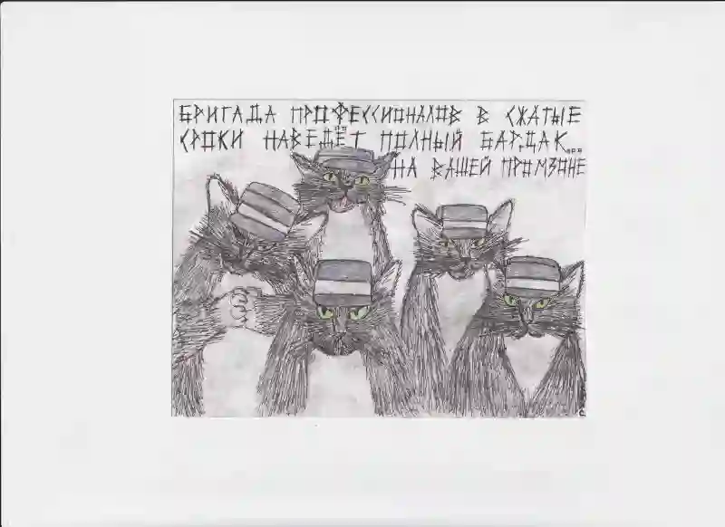 МК208 Бригада профессионалов