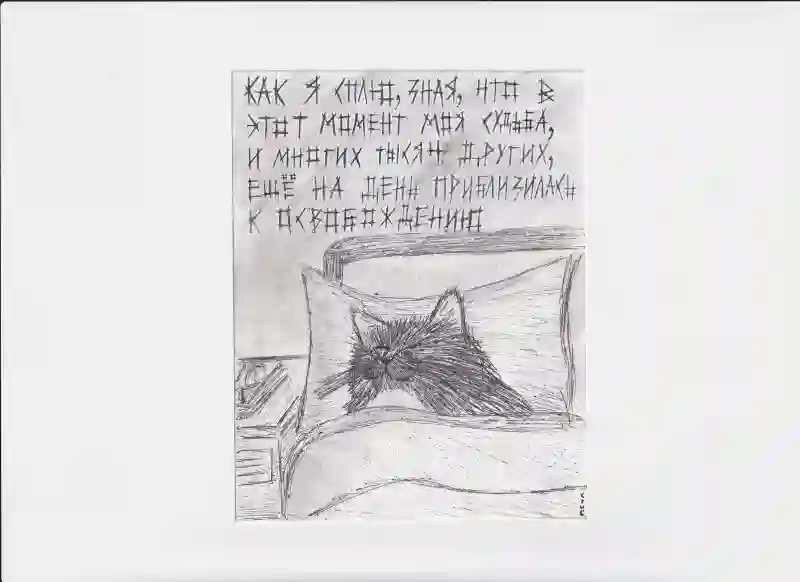 МК230 Как я сплю зная