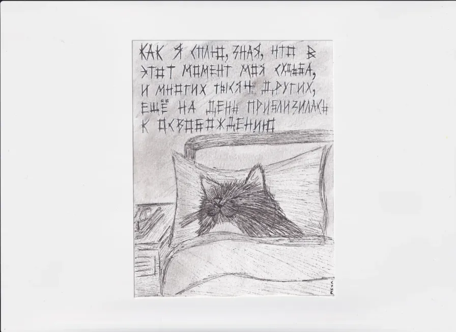 МК230 Как я сплю зная