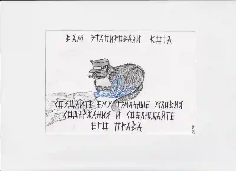 МК24 Вам этапировали кота