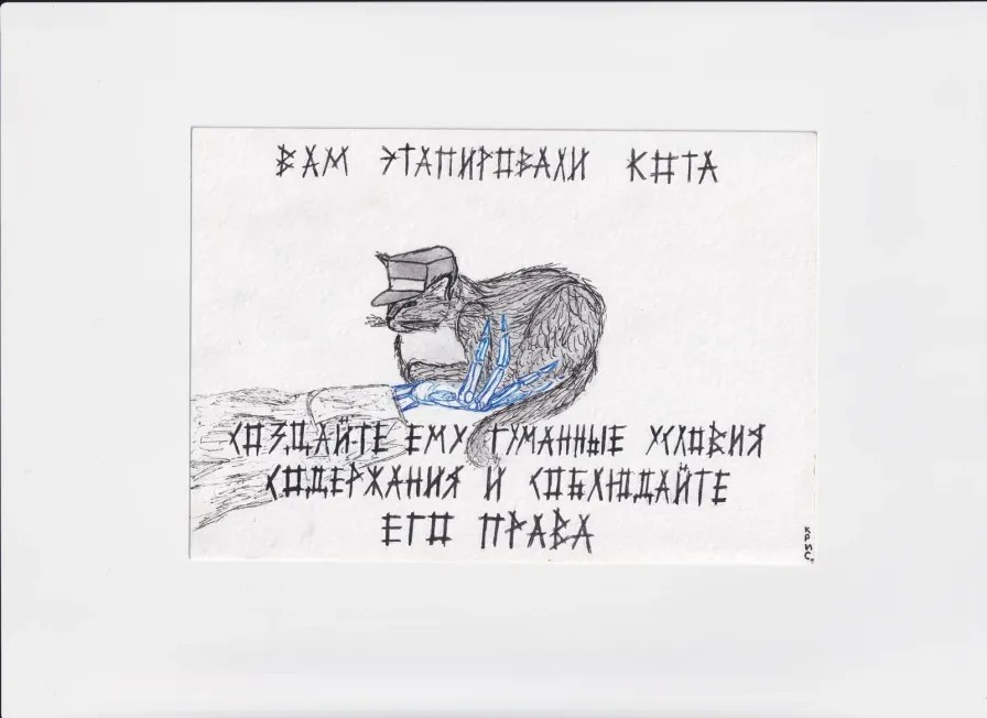 МК24 Вам этапировали кота