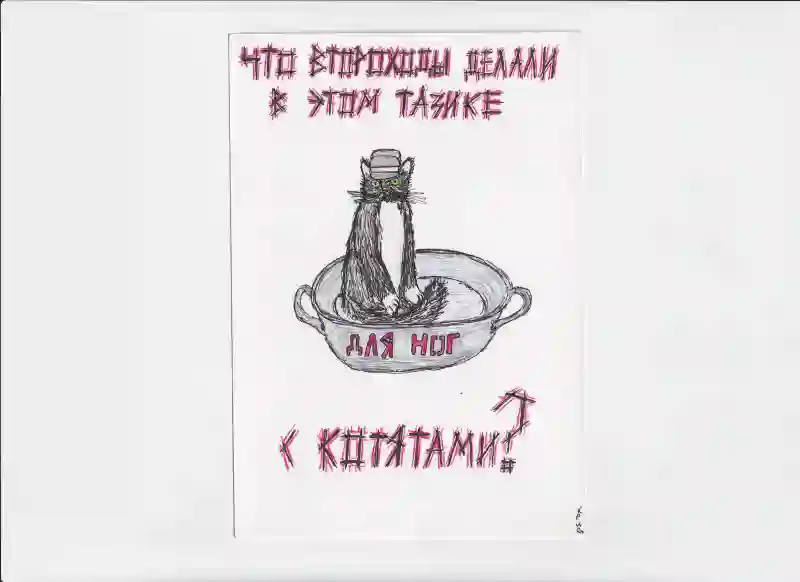 МК80 Что второходы делали в этом тазике с котятами