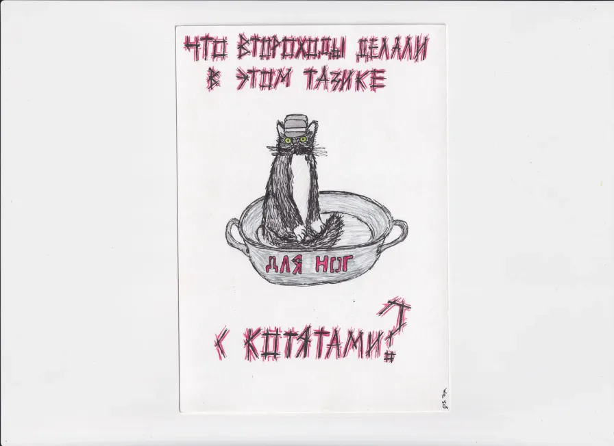 МК80 Что второходы делали в этом тазике с котятами